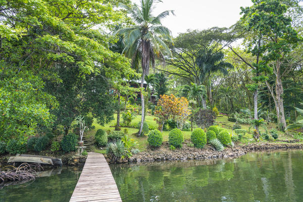 Chocolate farm, Bocas del Toro province, Panama, Central America