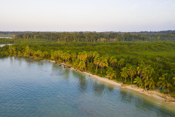 Bastimentos island, province of Bocas Del Toro, Panama, Central America