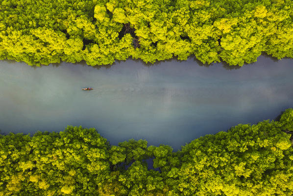 Aerial view of a traditional boat sailing through the bay. Bastimentos island, province of Bocas Del Toro, Panama, Central America