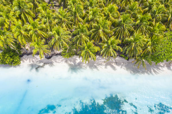 Zapatilla island, Bastimentos, Bocas Del Toro, Panama, Central America