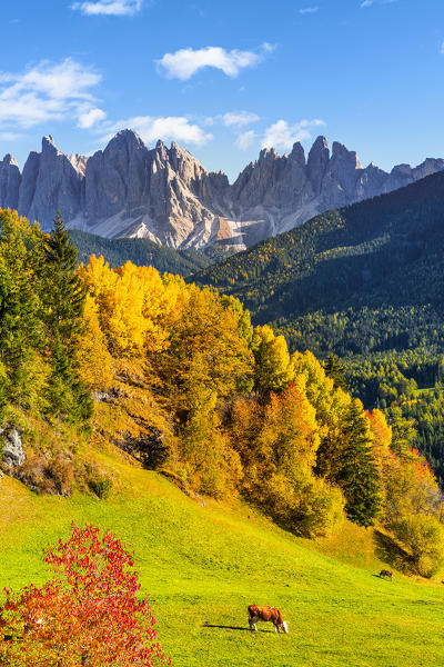 St. Magdalena, Funes Valley, Bolzano, South Tyrol, Trentino Alto Adige, Italy.