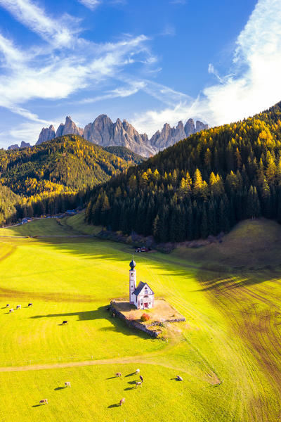 St. Magdalena, Funes Valley, Bolzano, South Tyrol, Trentino Alto Adige, Italy. St. Johann Church with the Odle Dolomites Group in the background.