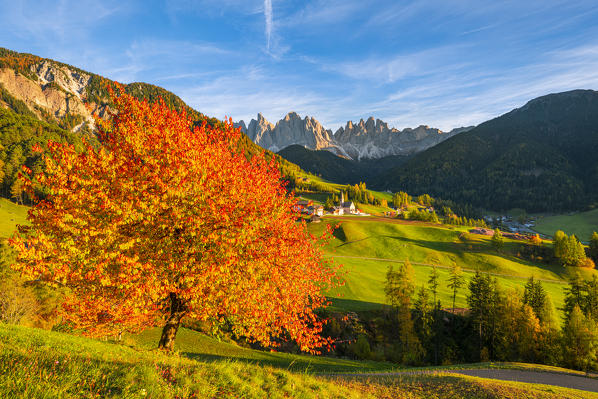 St. Magdalena, Funes Valley, Bolzano, South Tyrol, Trentino Alto Adige, Italy. St. Magdalena village with the Odle Dolomites Group in the background.