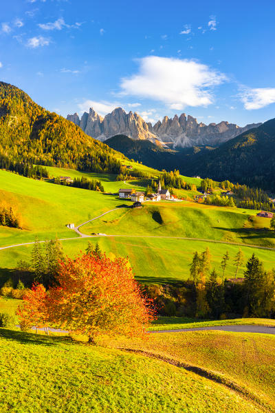 St. Magdalena, Funes Valley, Bolzano, South Tyrol, Trentino Alto Adige, Italy. St. Magdalena village with the Odle Dolomites Group in the background.
