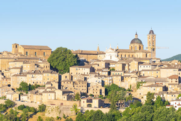 Urbino, Marche, Italy, Europe