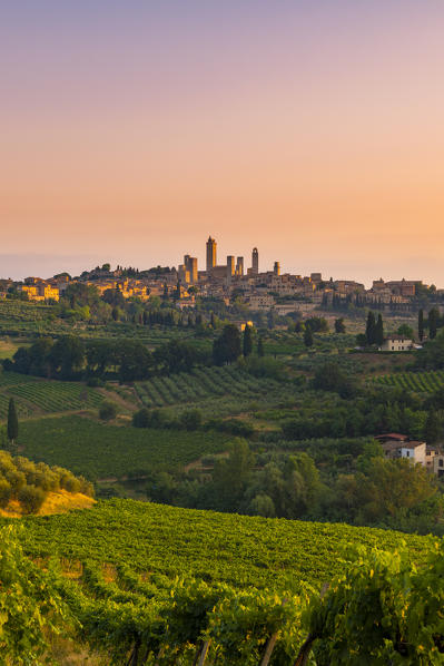 San Gimignano, Siena province, Tuscany, Italy, Europe
