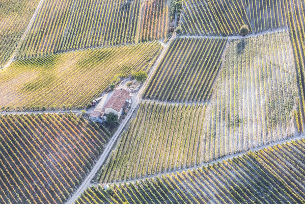 Aerial view of vineyards of Langhe from hot air baloon, Cuneo Province, Piedmont, Italy, Europe