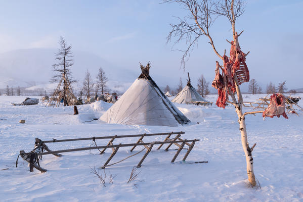 Nomadic reindeer herders camp. Polar Urals, Yamalo-Nenets autonomous okrug, Siberia, Russia