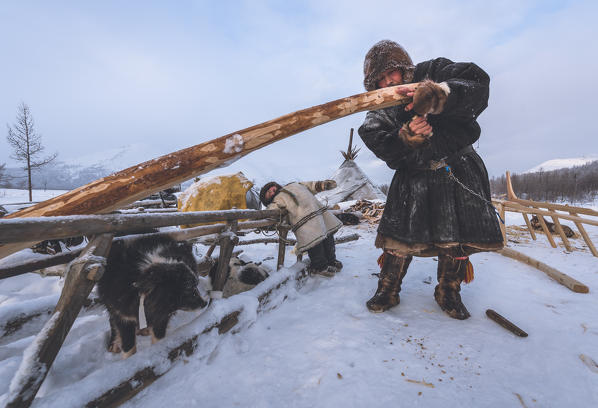 The traditional way of daily life at the nomadic reindeer herders camp. Polar Urals, Yamalo-Nenets autonomous okrug, Siberia, Russia