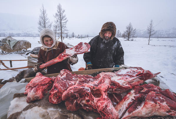 The traditional way of daily life at the nomadic reindeer herders camp. Polar Urals, Yamalo-Nenets autonomous okrug, Siberia, Russia