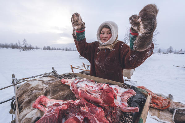 The traditional way of daily life at the nomadic reindeer herders camp. Polar Urals, Yamalo-Nenets autonomous okrug, Siberia, Russia