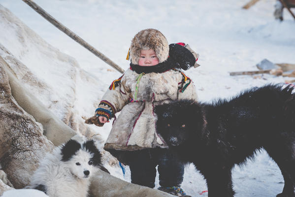 A small boy with dogs at the nomadic reindeer herders camp. Polar Urals, Yamalo-Nenets autonomous okrug, Siberia, Russia