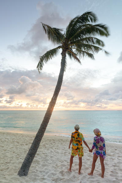 near a palm tree, an engaged couple watches the sunset on Le Morne beach, Le Morne Brabant, Black River district, Mauritius, Africa