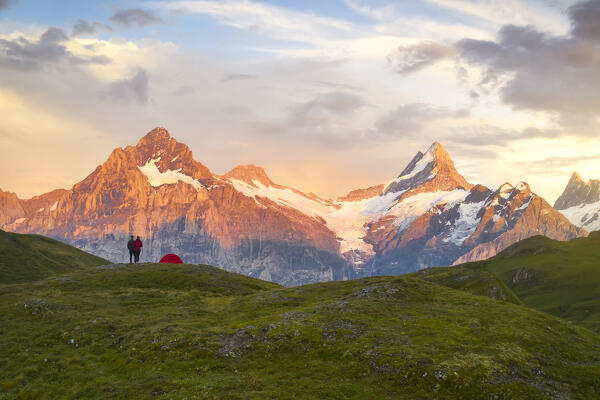 Hiker with tent looking at Bachalpsee lake and mountains at sunset, Grindelwald, Bernese Oberland, Switzerland, Europe