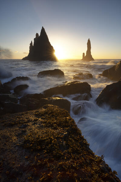 the stacks of Vik i Myrdal, seen from Reynisfjara beach, during a winter sunrise, southern Iceland, Europe
