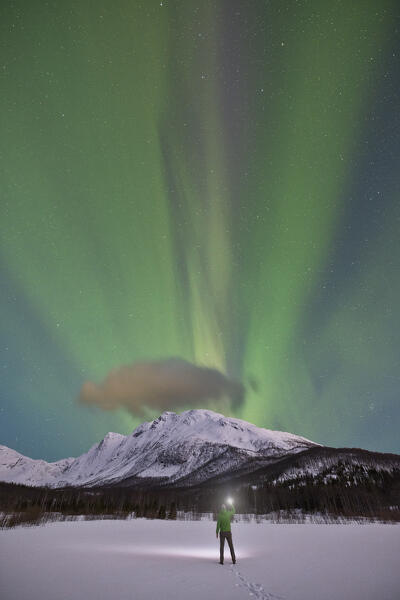 one people enjoy the spectacle of the northen lights during a cold winter night, Troms, Norway, Europe