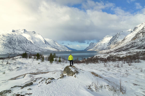 a tourist enjoys the panoramic view of the Ersfdjord, Troms, Norway, Europe