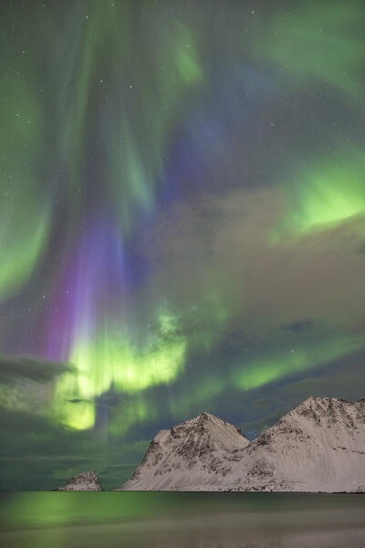 one person enjoy the magic of the arctic skies with the Northern Lights at Haukland beach, Lofoten island, Norway, Europe