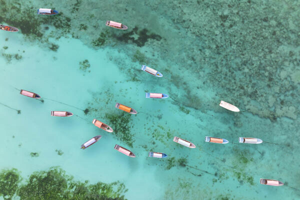 aerial view taken from the drone of fishermen boats called Dhows, anchored near the beach, Zanzibar, Tanzania, Africa