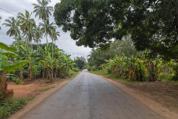 the asphalt road near to a little village called Kinyasini, during a cloudy day, Zanzibar, Tanzania, Africa