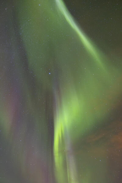 the Northern Lights during an autumn night, Iceland, Europe