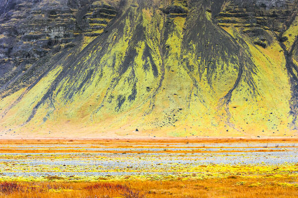 the colorful details present along the roads of Iceland during the autumn period, Iceland, Europe