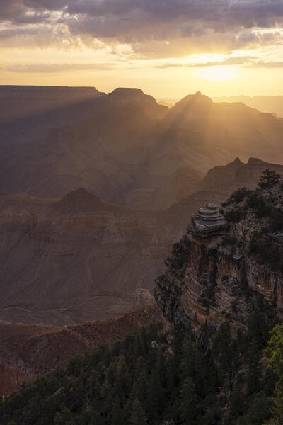 a golden light envelope the Grand Canyon during a summer sunrise, Tusayan, Arizona, United States of America