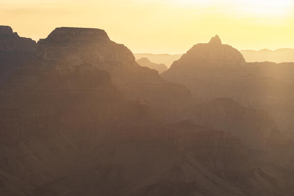 a golden light envelope the Grand Canyon during a summer sunrise, Tusayan, Arizona, United States of America