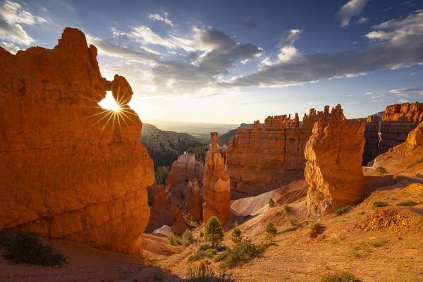 the sunlight envelope the canyons of Bryce Canyon National Park during a summer sunrise, Utah, United States of America
