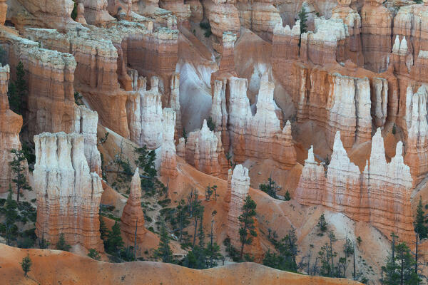 The majestic colors of the rock towers of Bryce Canyon National Park during a summer sunrise, Utah, United States of America