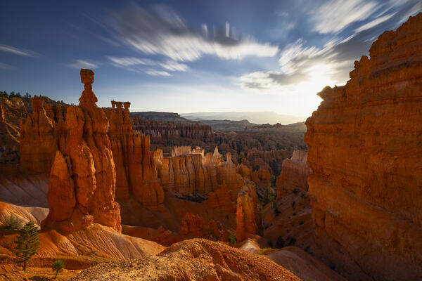 the sunlight envelope the canyons of Bryce Canyon National Park during a summer sunrise, Utah, United States of America