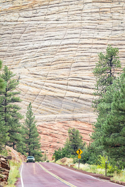 a car driving along the main road in Zion National Park during a summer sunny day, Utah, United States of America