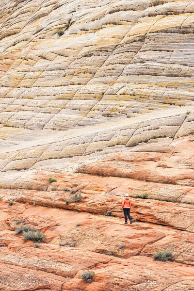 a girl admiring the beautiful rock formation in Zion National Park during a summer sunny day, Utah, United States of America