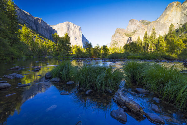 a beautiful view of Yosemite valley with El Captain mountain during a summer sunny day, Yosemite National Park, California, United States of America