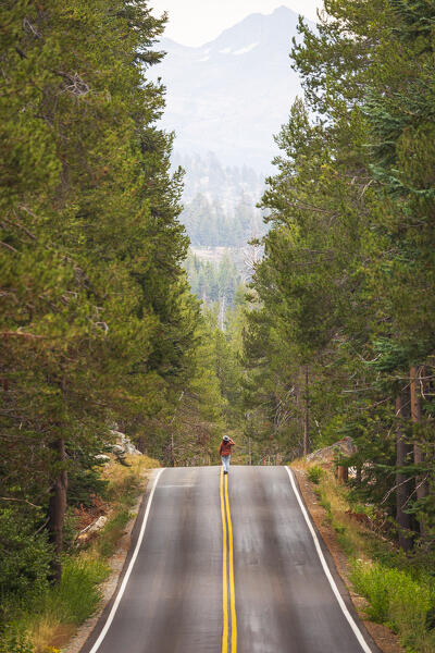 A woman walks on the road and admires the beautiful woods of Yosemite National Park on a summer day, California, United States of America
