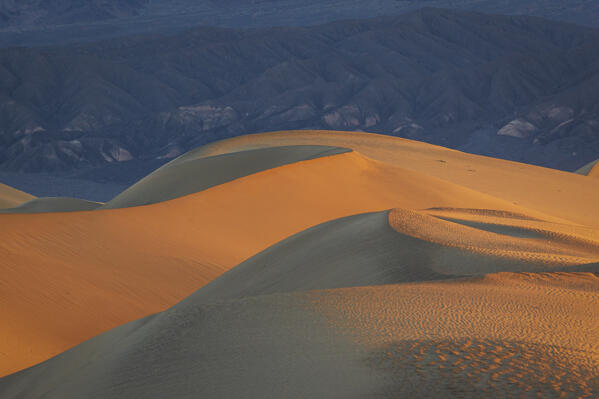 the beautiful sand dunes illuminated by the warm light of dawn, Mesquite Flat Sand Dunes, Death Valley, California, United States of America