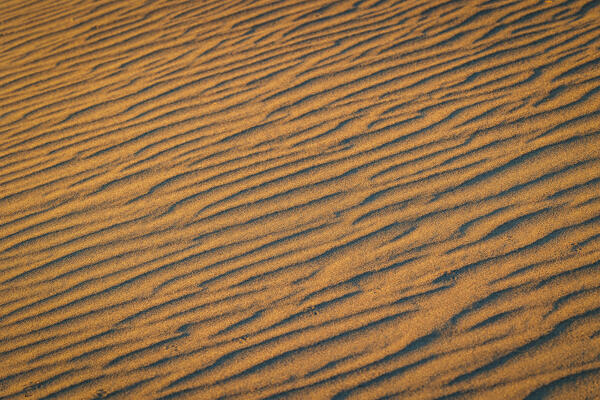 a beautiful details of the sand dunes illuminated by the warm light of dawn, Mesquite Flat Sand Dunes, Death Valley, California, United States of America