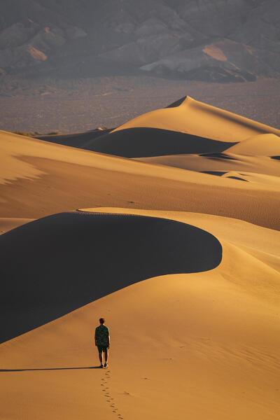 a guy admire the beautiful sand dunes illuminated by the warm light of dawn, Mesquite Flat Sand Dunes, Death Valley, California, United States of America (MR)