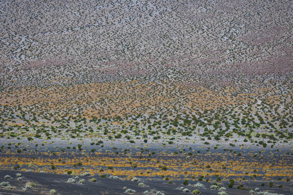 abstract view of Death Valley salt lake during a hot summer day,  Death Valley National Park, California, United States of America