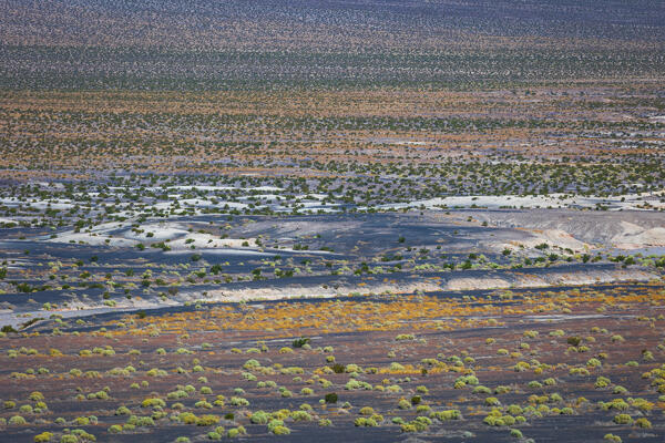 abstract view of Death Valley salt lake during a hot summer day,  Death Valley National Park, California, United States of America