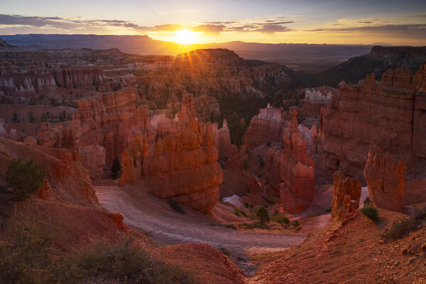 a warm light envelope the majestic rock formation in Bryce Canyon National Park during a summer day, Utah, United States of America