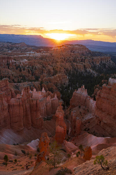 a warm light envelope the majestic rock formation in Bryce Canyon National Park during a summer day, Utah, United States of America