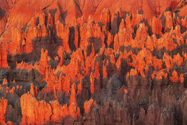 a warm light envelope the majestic rock formation in Bryce Canyon National Park during a summer day, Utah, United States of America