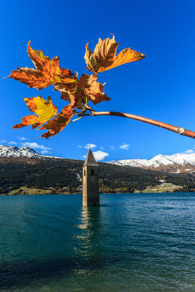 Resia lake, the church, Trentino alto Adige, Italy