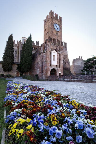 Flower beds in the Scaligero castle of Villafranca di Verona. Verona province, Veneto, Italy, Europe.