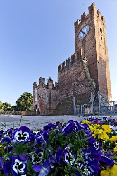 Flowerbeds at the Scaligero castle of Villafranca di Verona. Verona province, Veneto, Italy, Europe.