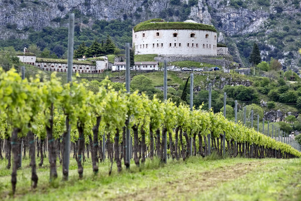 Adige Valley: Fort Wohlgemuth and the vineyards of Rivoli Veronese. This area is also called 