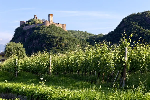 The Firmiano castle overlooks the South Tyrolean countryside. Bolzano, Trentino Alto-Adige, Italy, Europe.