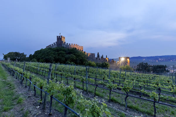 The Scaligero castle and the Soave wine vineyards. Soave, Verona province, Veneto, Italy, Europe. 