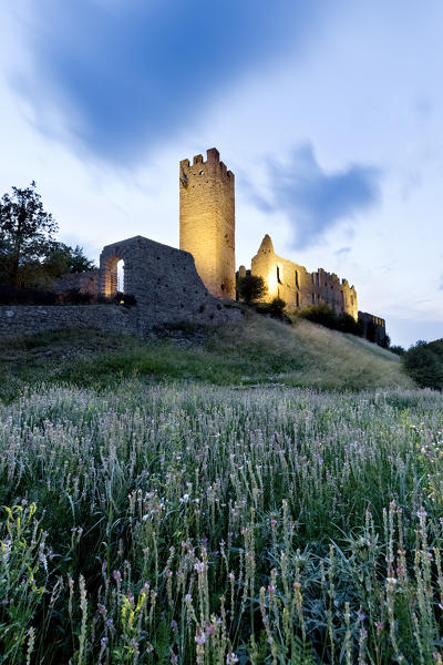 The ruins of Belfort castle immersed in the nature of the Non valley. Spormaggiore, Trento province, Trentino Alto-Adige, Italy, Europe.